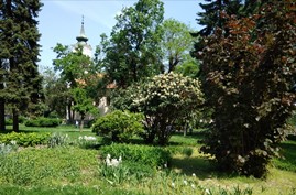 IMG_20180427_095221