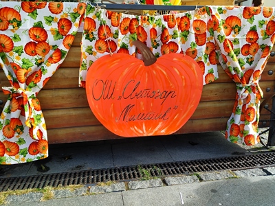 Земунска дечја пијаца